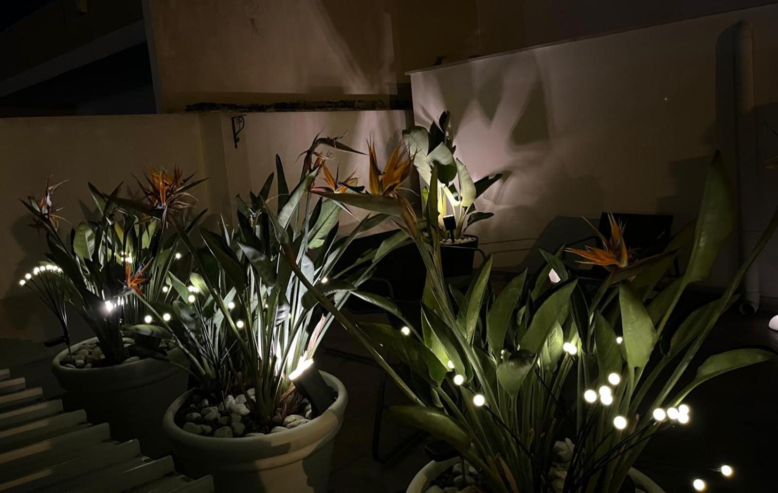 Bed and Breakfast Il Civico 2 Bari Esterno foto